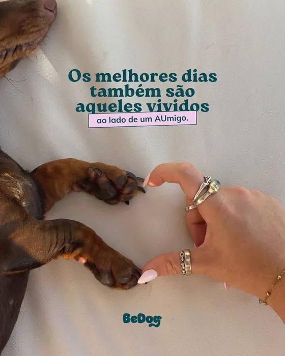 Os melhores dias são ao lado de um AUmigo — BeDog